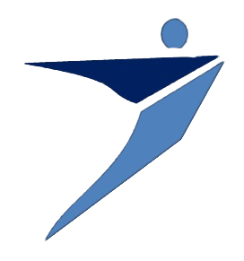 Saetas logistic LTDA